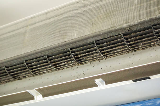 Best Professional Duct Cleaning Services  in Rowland, NC